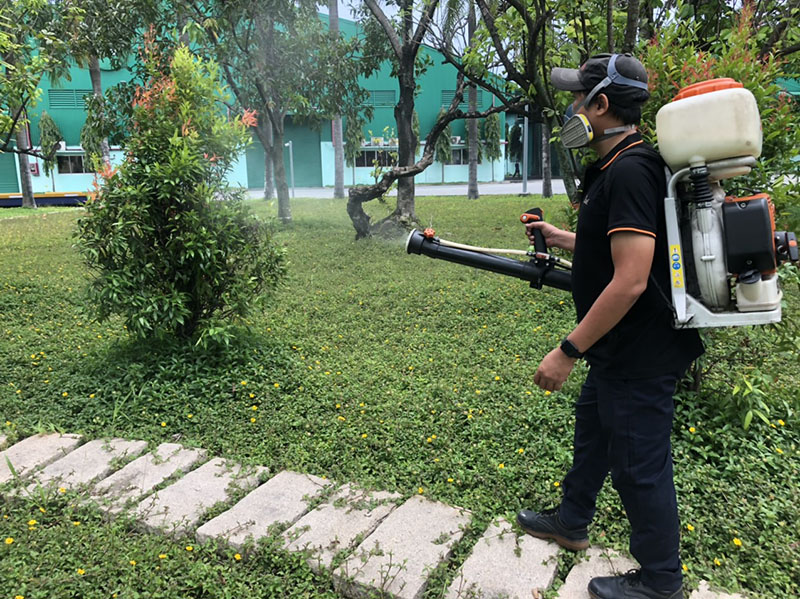 Những biện pháp phòng chống muỗi hiệu quả trong mùa mưa